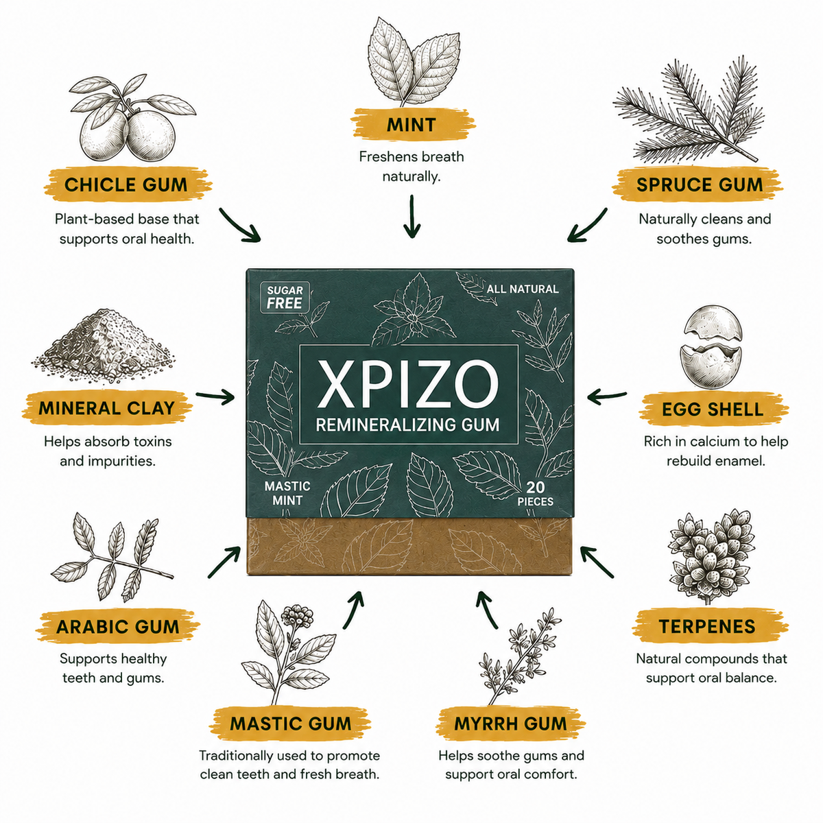 Xpizo™ All Natural Remineralizing Gum 2.0